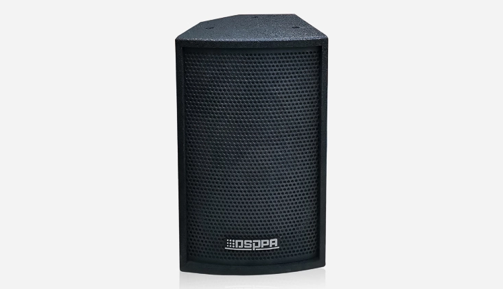 100w professional full range speaker 1