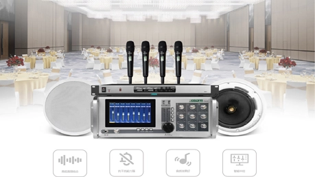 Professional Sound System Solution for Banquet Halls DSP21SUB DSP213