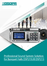 Professional Sound System Solution for Banquet Halls DSP21SUB DSP213